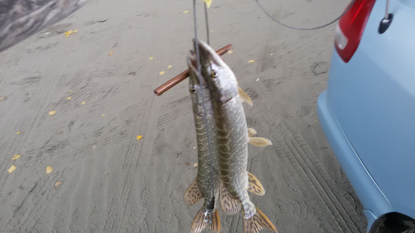 20150905_124126.jpg