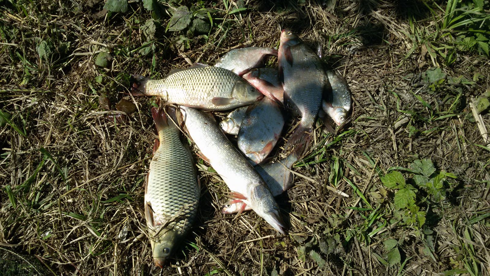 20150819_121249.jpg