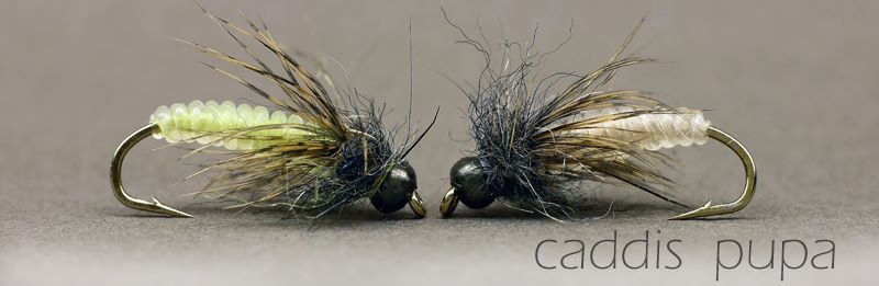 12540706 1532455003749727 5467238831223008690 N