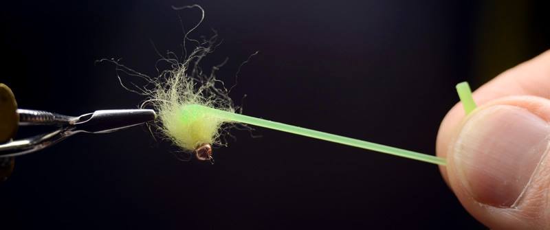 12143149 1488012458193982 9153874082627969401 N 12143149 1488012458193982 9153874082627969401 N