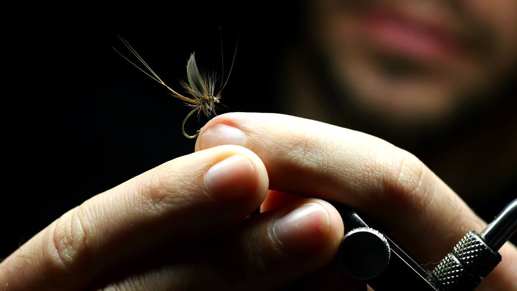 12525363 1532161460445748 6624918157012086890 O 12525363 1532161460445748 6624918157012086890 O