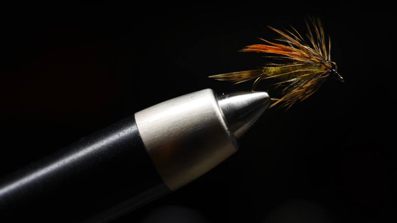 12074586 1480381228957105 6242168443475886415 N 12074586 1480381228957105 6242168443475886415 N