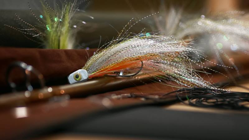 11831713 1445450795783482 8096230793288265888 N 11831713 1445450795783482 8096230793288265888 N