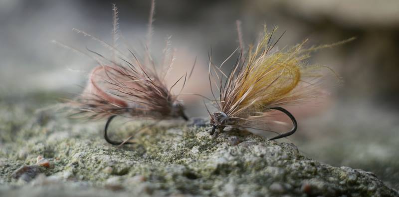 11921706 1461707857491109 1087582661581470514 N 11921706 1461707857491109 1087582661581470514 N