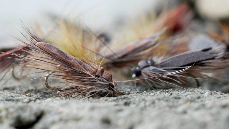 11896063 1457936771201551 8926416248490070134 N 11896063 1457936771201551 8926416248490070134 N