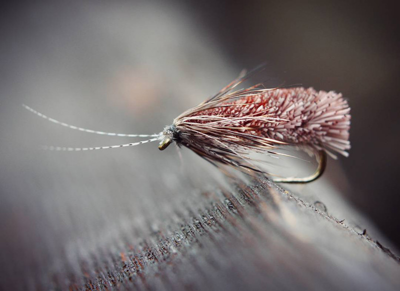 IMG 20170925 171730 180 (копия) IMG 20170925 171730 180 (копия)