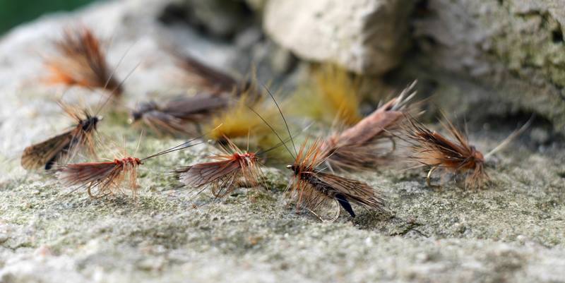 11951284 1457936721201556 2294218718066057228 N 11951284 1457936721201556 2294218718066057228 N