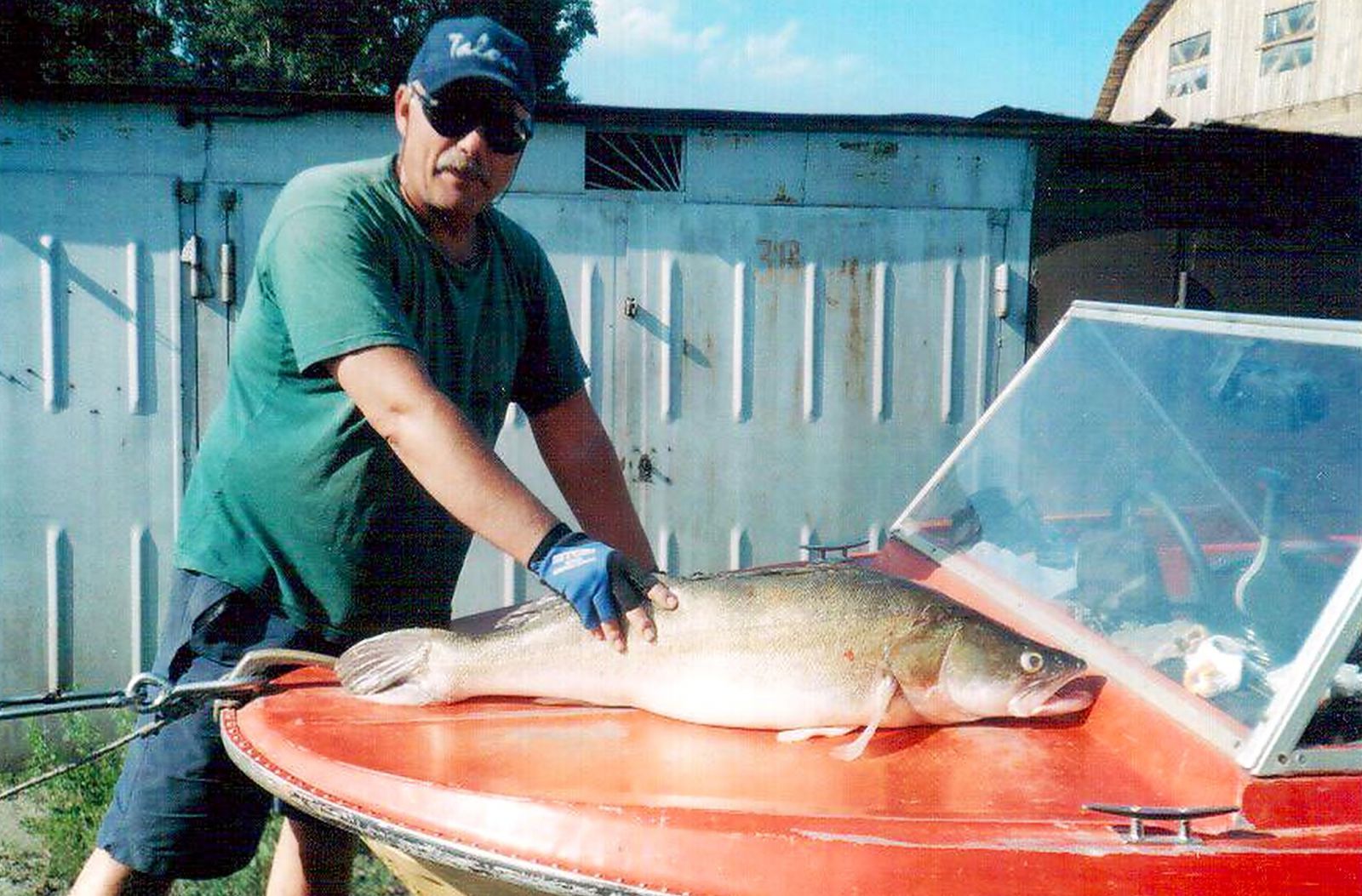 Примерно 2004г. Миша поймал десяточного судака. Примерно 2004г. Миша поймал десяточного судака.