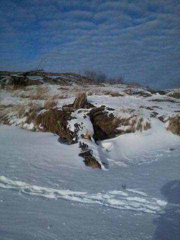 2016-02-13 15.18.27.jpg