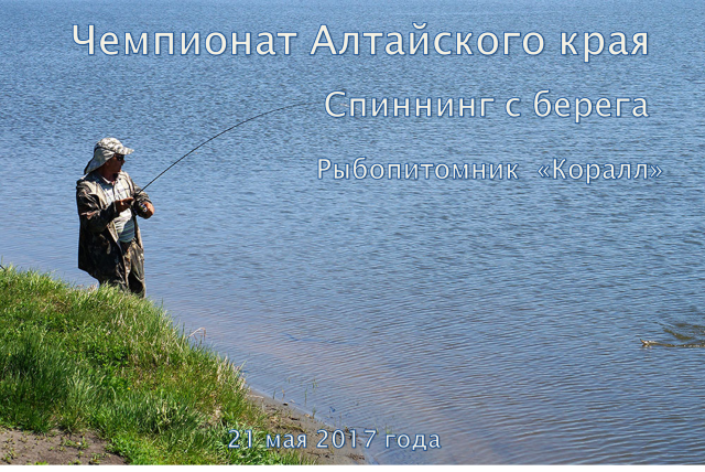 Чемпионат Алтайского края