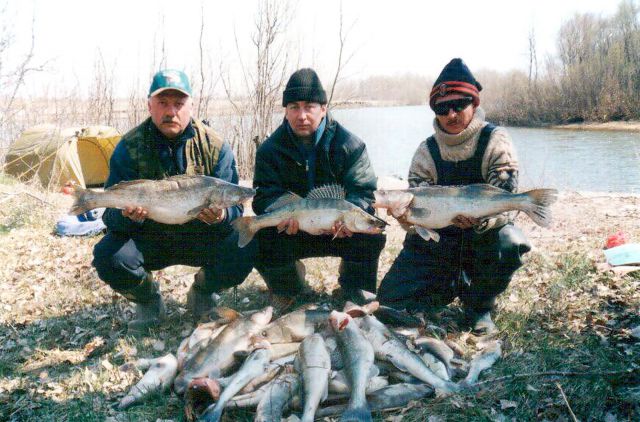 2001г. С Калачевым и Мишей - перед нерестовым запретом на устье Б.Речки.