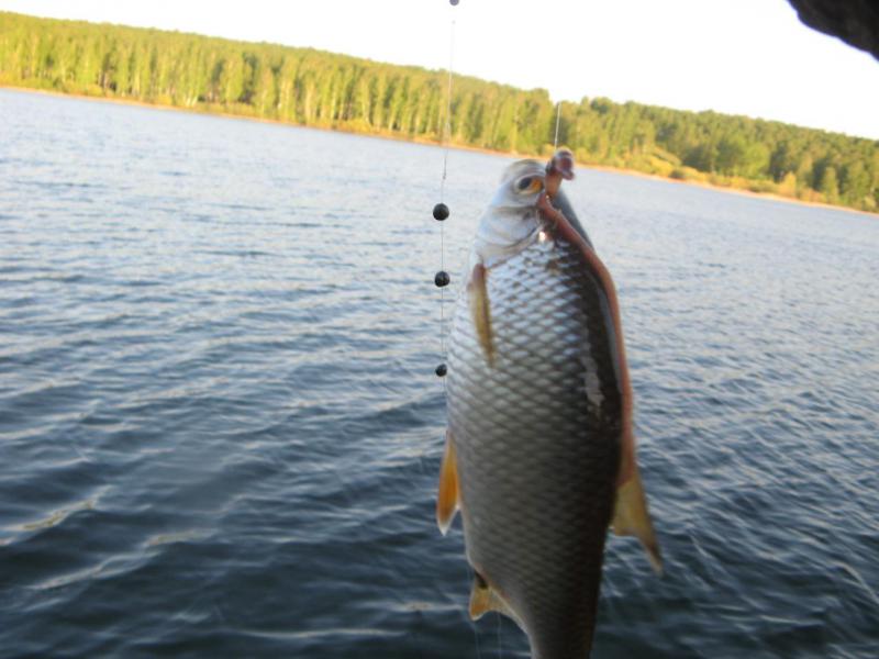 IMG_1848.JPG