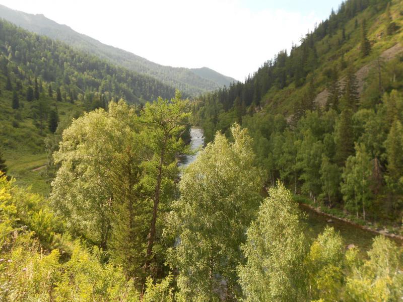DSCN6559.JPG