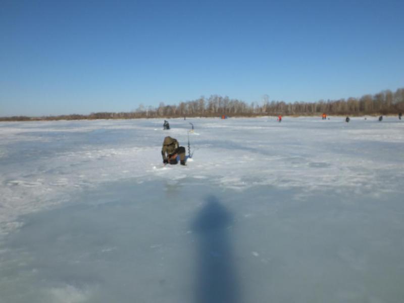 DSCF2175.JPG