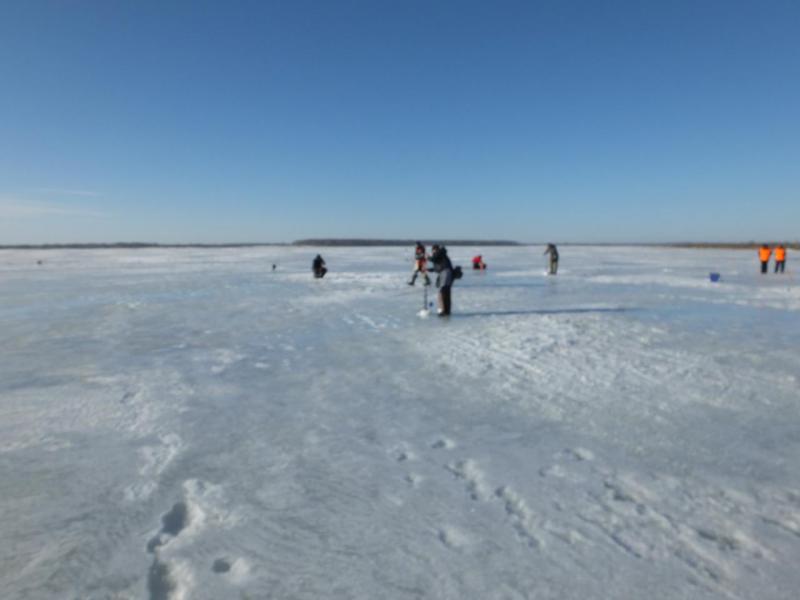 DSCF2174.JPG