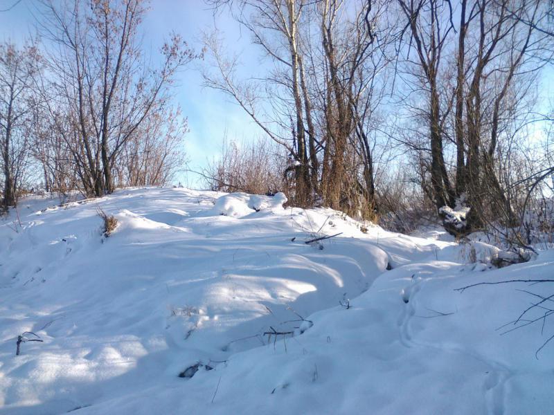 WP_20161030_003.jpg