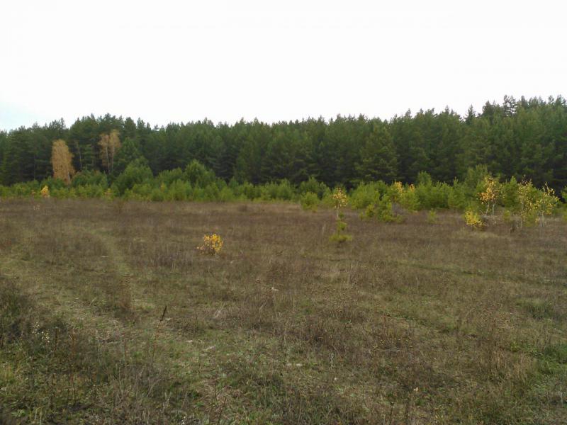 WP_20151011_017.jpg