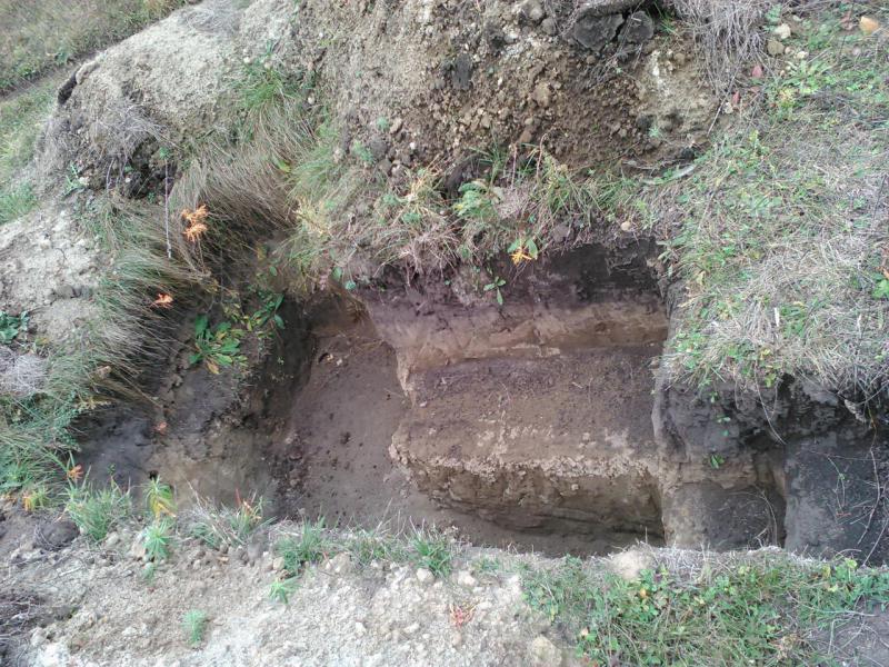 WP_20151011_021.jpg