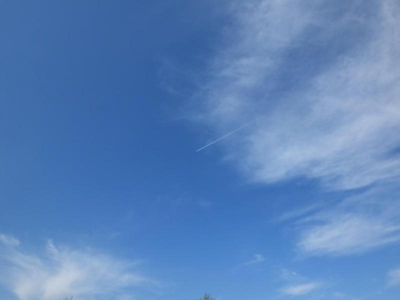 DSCF0745.JPG