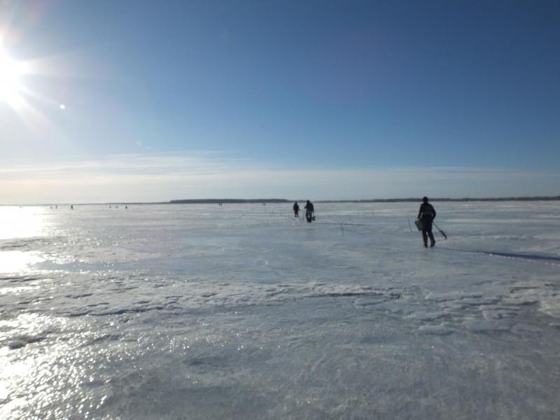 DSCF2172.JPG