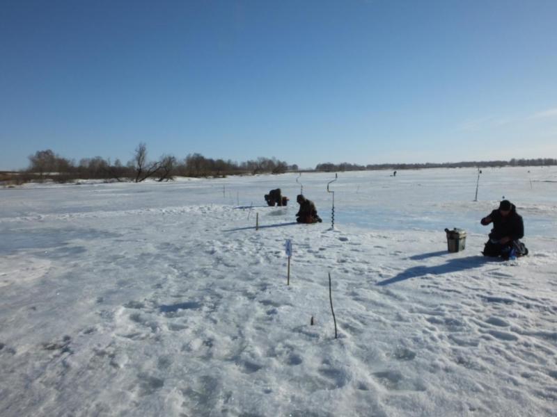 DSCF2181.JPG
