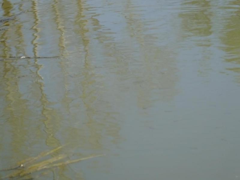 DSCF0765.JPG