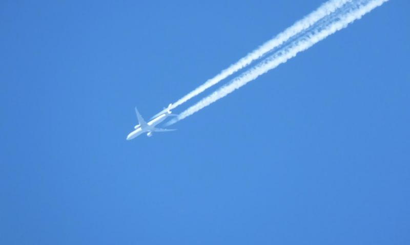 DSCF0746.JPG