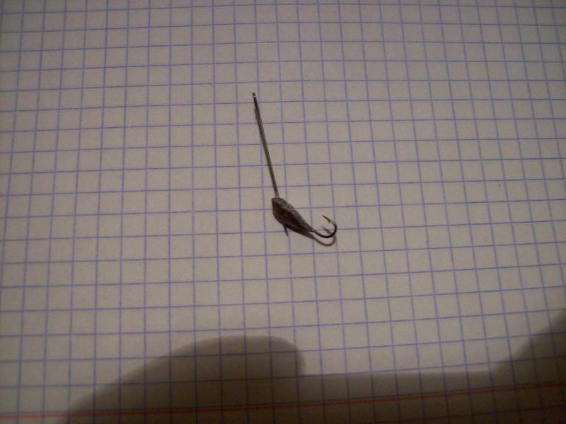100_4051.JPG
