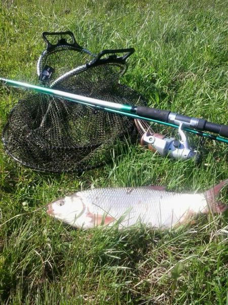 2015-05-16 08.49.00.jpg