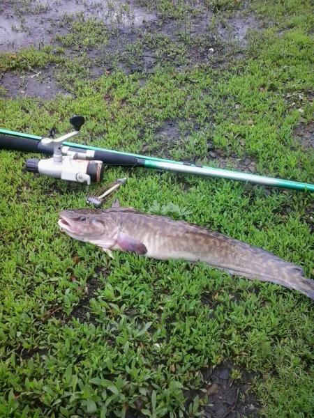 2015-05-23 12.18.08.jpg