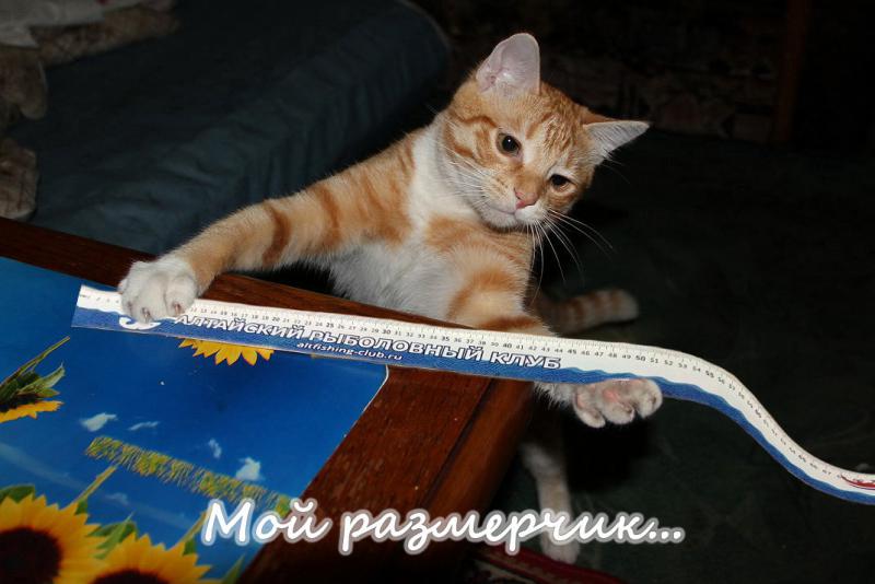 123.jpg