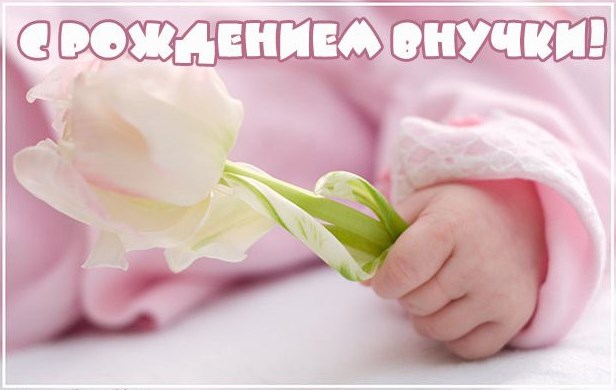 969998647.jpg