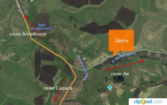 Головной.jpg