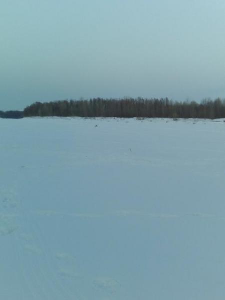 IMG_20170304_191336.jpg
