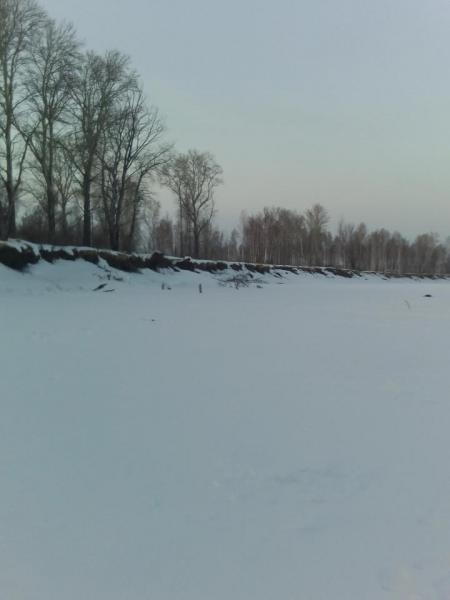 IMG_20170304_185718.jpg