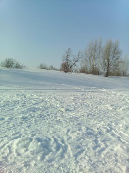 IMG_20170131_154830.jpg