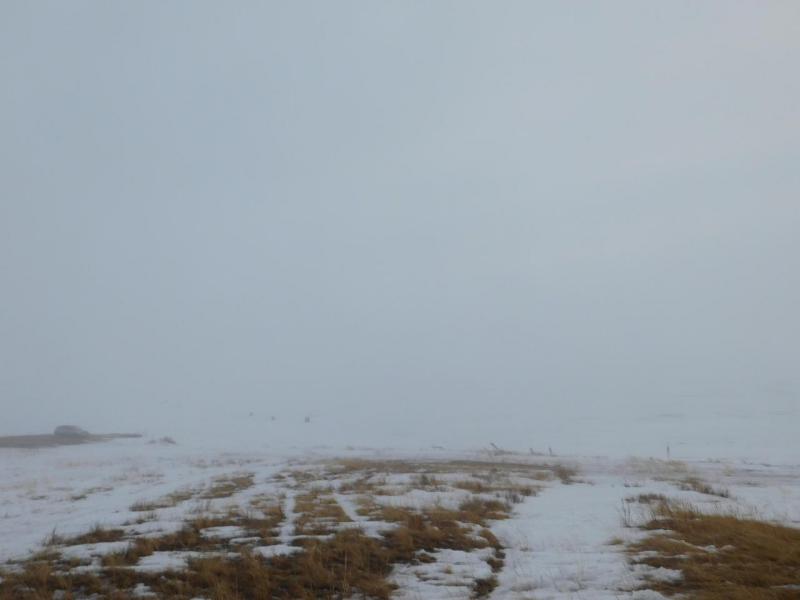 DSCN1875.JPG