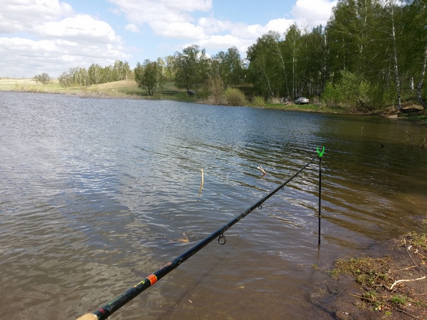 20150510_134651.jpg