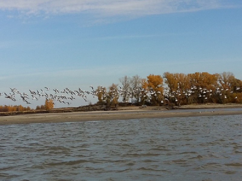 20151003_113323.jpg
