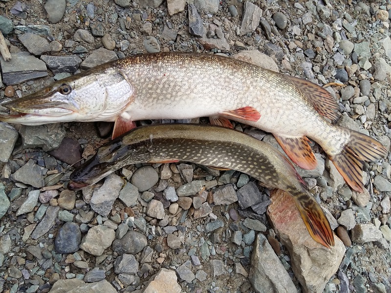 20151003_154918.jpg