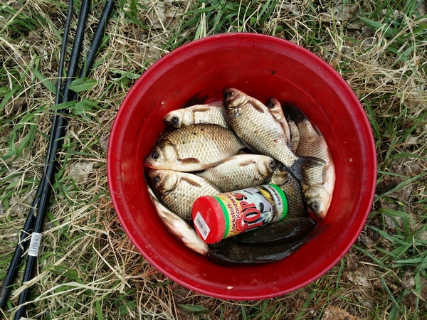 20150510_140524.jpg