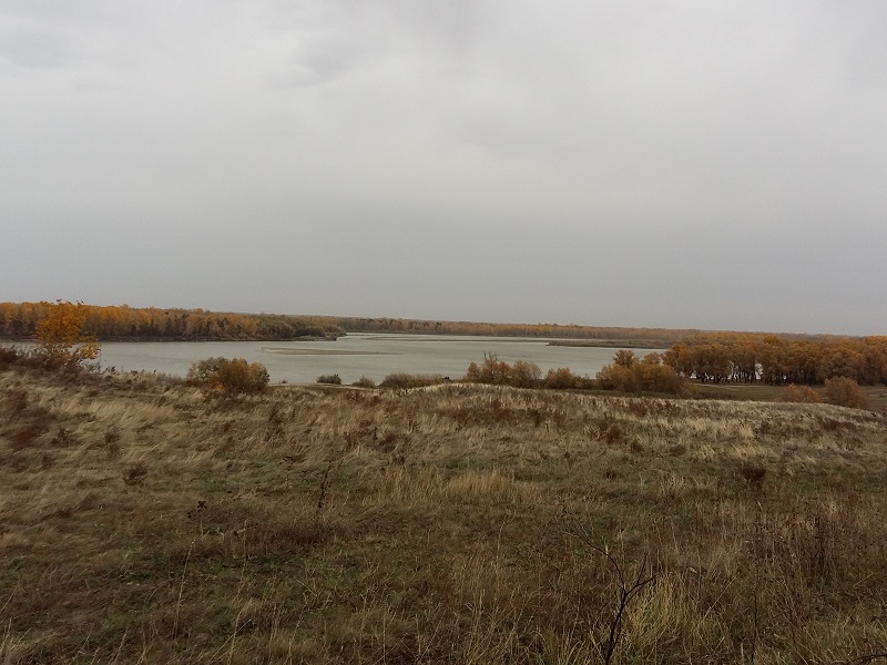 20151003_155640.jpg