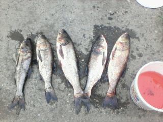 160717-1734.jpg