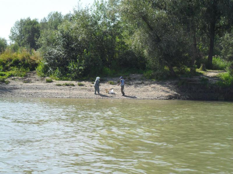 SAM_0438 поклевка на берегу.JPG