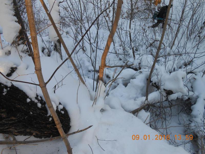 DSCN2259.JPG