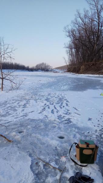 2017-12-02 13-07-34.JPG