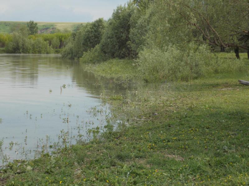 DSCN2819.JPG