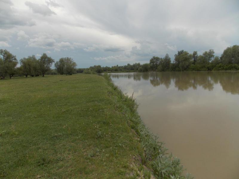 DSCN2822.JPG