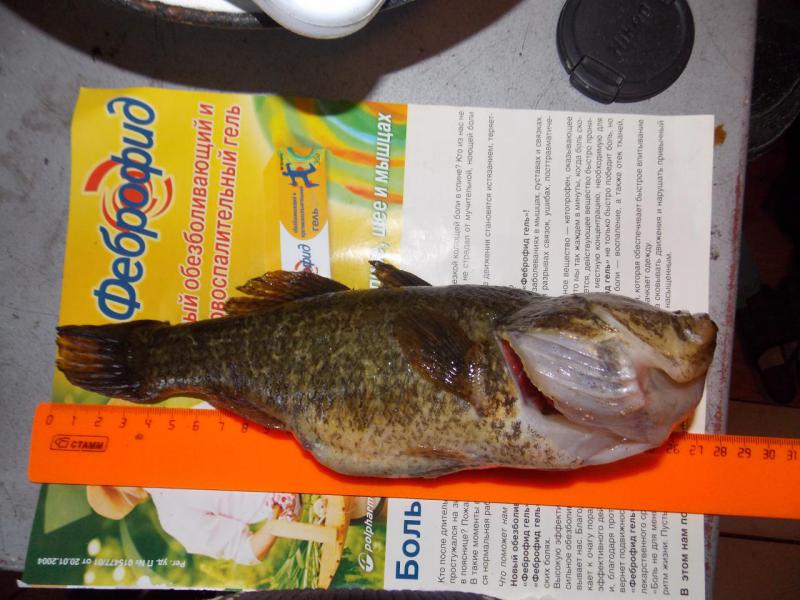 DSCN2283.JPG