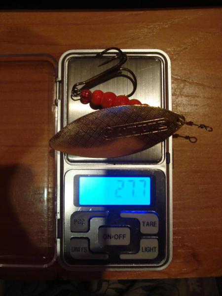 DSC07874.JPG